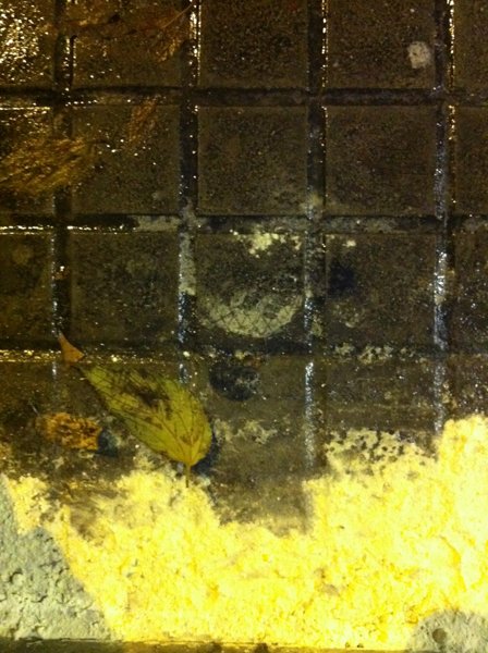 zDocument Name_web_1